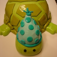 Turtle Birthday Cake Man I loved this cake.I named him Wilbur while baking him... He has so much personality!