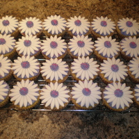 Floral Cuppies 