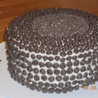 Choc Chip just something crazy my husband asked for. iced in buttercream, covered in choc chips
