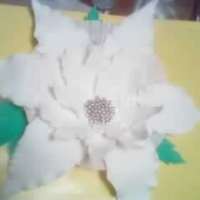 First Gumpaste Poinsettia This is my very first time making a gum paste poinsettia. TFL