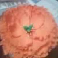 Very First Gumpaste Peony Ok so this is my very first gum paste peony. I think it looks ok but the center could have had more depth and ruffles. oh well. better next...