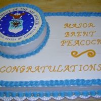 Promotion - U.s. Air Force Torted, single-layer 12x18 marble cake with chocolate mousse filling for the base; torted 6" round (same cake & filling) for the...
