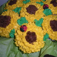 Sunflower Cupcakes Sunflower cupcakes with lady bugs