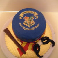 Harry Potter Cake Harry Potter logo with want and glasses