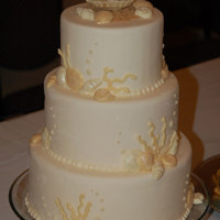 Ivory Shell Cake Display cake for a bridal show. Ivory fondant, accented with chocolate shells and coral.
