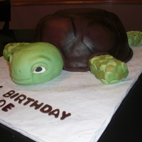 Turtle Cake This was for a birthday. She loved turtles. White cake. Idea from springlakecake. I don't have an airbrush so I mixed chocolate satin...