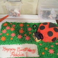 Ladybug Cake all bc except the ladybug and its rct covered in fondant