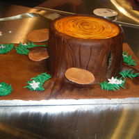 Fairy Tree Stump Request for small tree stump for a woodland fairy theme party. My first real detailed cake. Six inch cakes staked, cut out pan sized circle...