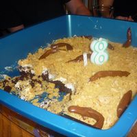Litter Box Cake The video footage we took was priceless, nothing but howling laughter drowning out the "Happy Birthday" singing!