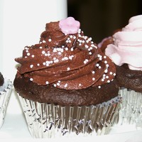 Chocolate Cupcakes 