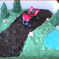 Quad Bike Party chocolate cake covered in bc, trees icecream cones with royal icing and pond is fondent. tfl xx