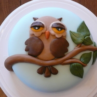 Owl Cake! Inspired by many different owl cakes I have seen on CC. 8 in cherry cake with homemade fondant. TFL!!!