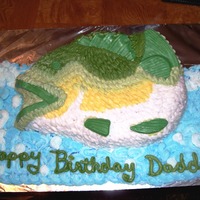 Large Mouth Bass Large Mouth Bass