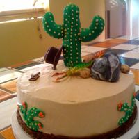 Cactus Cake 9" white with IMBC and fondant accents. Cactus is RKT and I had a hard time with the arms staying on. I ended up having to glue arms...