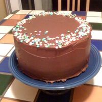 Everyday Cake Yellow butter cake with chocolate sour cream frosting. A perfect celebration cake or just to celebrate Monday!