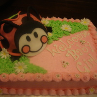 Ladybug Cake Chocolate fudge cake with chocolate coolwhip filling and buttercream icing w/fondant accents (lady bug is also chocolate fudge cake)