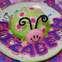 Ladybug Smash Cake Made this smash cake for my 1 yr old. Used the ball insert on the betty crocker fill n bake cake pan. Covered the vanilla cake with...