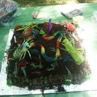 Bugs my nephew had a bug birthday party . This is a chocolate fudge marble cake with chocolate pudding and oreo cookie crumb filling...lots of...