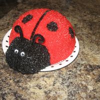 Ladybug Smash Cake This is my little girl's smash cake from her first birthday. There is a matching ladybug sheet cake also. I used half of the Wilton 3D...