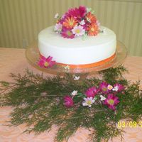 Daisy Cake I make this for a bridal shower. its a white cake with buttercream icing. her colors were fushia and tangerine so i went with the gerber...