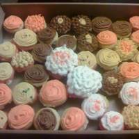 Mini Cupcakes fall cupcakes