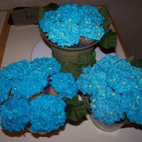 Blue Cupcake Bouquet Eighteen WASC cupcakes with don't-try-this-again blue raspberry lemonade BC for a baby shower.