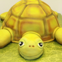 Turtle Very large turtle cake I made at the bakery where I work.