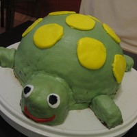 Turtlecake Simple chocolate cake... turned into a turtle. I made a few little cakes in small childrens backing pans for the feet, head and tail. Just...