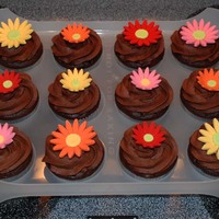 Daisy Cupcakes These are chocolate cupcakes made from the Darn Good Chocolate Cake recipe with chocolate buttercream and white cake cupcakes with classic...