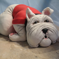 Grr... Go Dawgs!carved birthday cake