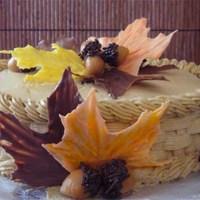 Fall Leaves This is practice for a cake I'm making next week. I like it, but if you have any ideas to make it better please let me know.