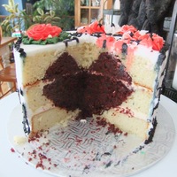 Valentines Day White cake with Red Velvet heart in the middle (too much cocoa made it brown) Buttercream decorations.