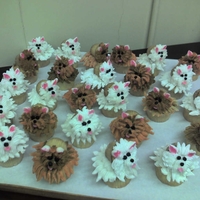 Puppycake Anyone? Mini cupcakes for the head, ears and nose made with mm dipped in colored sugar sat on regular cupcake. Eyes made with Wilton icing and...
