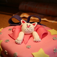 Cat In A Box Gluten- free cake for a 26 years old woman. She wanted a surprise cake, colorful, with a cat. So I made this. Got inspired by many similar...