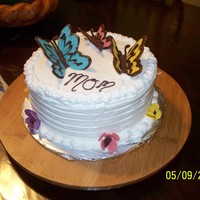 Butterfly Cake 