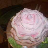 Rose Cake I USED MY DOLL PAN FOR THE CAKE,COVERED IN MMF AND SPRINKLEDEDIBLE GLITTER IN GREEN ON LEAVES AND WHITE ON ROSE. THIS IS MY FIRSTATTEMPT AT...