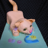 Rusty The Warrior Cat From the children's book Warrior Cats Made October 2009