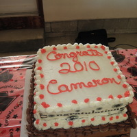 Very First 2 Tier Cake Made this for nephews party, bottom tier was chocolate fudge cake with chocolate mint chocolate chip butter cream icing. top tier was frenh...