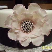 Glam Single Flower Chocolate cake with vanilla buttercream, Rhonda's MMF (love this stuff!), gumpaste flower with raspberry lustre dust and silver...