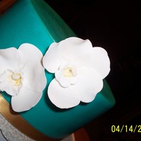 Tiffany Orchids. Chocolate cake with vanilla buttercream. Covered in chocolate ganache (first attempt) and turquoise fondant. Gumpaste orchids.