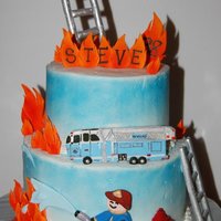 Fireman Birthday This was for a fireman's birthday. The truck & suit were made to match the ones for that county.