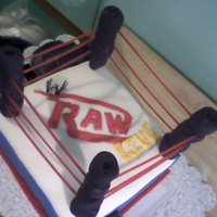 Monday Night Raw It was a request that I had that I was so worried about making because I know nothing about the sport. I don't watch it so I had to do...