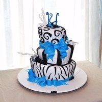 Black & White W/blue Accents 