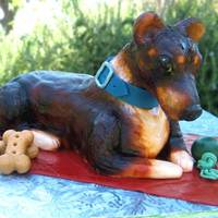 Dog Cake For A "dog Shower" Our friends adopted a Chihuahua Dachshund mix and our some of our friends held a "Dog Shower" for them. It was so cute! The cake...