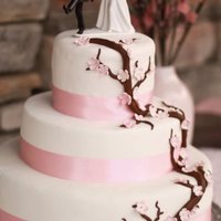 Cherry Blossom Wedding Marbled yellow and chocolate tiered with raspberry filling. MMF over tiers and gumpaste cherry blossoms. Chocolate Clay vine.