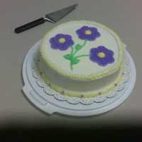 Wilton Course One - First Cake 