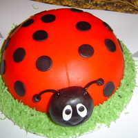 Ladybug Birthday I needed a quick birthday cake for a last minute order. Took my Debbie Brown book and found this one. Made a chocolate snowball cake and...