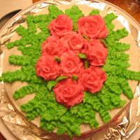 Practice Cake This is a cake that I did in a Wilton class.