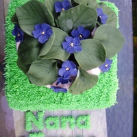 African Violet Pot Plant My mum loves African Violet plants so I made this out of fondant for her. Everything is edible