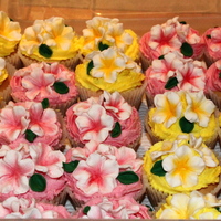 Frangipani Cupcakes 